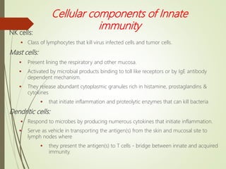 Cellular components of Innate
immunity
NK cells:
 Class of lymphocytes that kill virus infected cells and tumor cells.
Mast cells:
 Present lining the respiratory and other mucosa.
 Activated by microbial products binding to toll like receptors or by IgE antibody
dependent mechanism.
 They release abundant cytoplasmic granules rich in histamine, prostaglandins &
cytokines
 that initiate inflammation and proteolytic enzymes that can kill bacteria
Dendritic cells:
 Respond to microbes by producing numerous cytokines that initiate inflammation.
 Serve as vehicle in transporting the antigen(s) from the skin and mucosal site to
lymph nodes where
 they present the antigen(s) to T cells - bridge between innate and acquired
immunity.
 