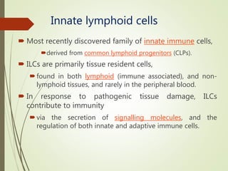 Innate lymphoid cells
 Most recently discovered family of innate immune cells,
derived from common lymphoid progenitors (CLPs).
 ILCs are primarily tissue resident cells,
found in both lymphoid (immune associated), and non-
lymphoid tissues, and rarely in the peripheral blood.
 In response to pathogenic tissue damage, ILCs
contribute to immunity
via the secretion of signalling molecules, and the
regulation of both innate and adaptive immune cells.
 