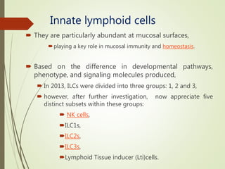 Innate lymphoid cells
 They are particularly abundant at mucosal surfaces,
playing a key role in mucosal immunity and homeostasis.
 Based on the difference in developmental pathways,
phenotype, and signaling molecules produced,
 In 2013, ILCs were divided into three groups: 1, 2 and 3,
 however, after further investigation, now appreciate five
distinct subsets within these groups:
 NK cells,
ILC1s,
ILC2s,
ILC3s,
Lymphoid Tissue inducer (Lti)cells.
 