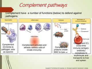 Copyright © The McGraw-Hill Companies, Inc. Permission required for reproduction or display.
C
C
Elimination of
immune complexes
Antigen
Antibody
Complement
Erythrocyte
Complement (C)
cross-links
immune (antigen-
antibody)
complexes to
erythrocyte and
transports to liver
and spleen.
Complement
proteins create
MAC to lyse cell.
Complement activates and
attracts various cells of
innate immunity.
Complement
(C) binds to
pathogen; acts
as opsonin
Macrophage
Pathogen
Complement
Inflammation
Opsonization Cytolysis
Complement
MAC
protein
Pathogen
Inflammation
Macrophage
Neutrophil
Basophil
Mast cell
Complement have a number of functions (below) to defend against
pathogens
Complement pathways
 