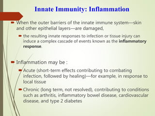 Innate Immunity: Inflammation
 When the outer barriers of the innate immune system—skin
and other epithelial layers—are damaged,
 the resulting innate responses to infection or tissue injury can
induce a complex cascade of events known as the inflammatory
response.
 Inflammation may be :
Acute (short-term effects contributing to combating
infection, followed by healing)—for example, in response to
local tissue
Chronic (long term, not resolved), contributing to conditions
such as arthritis, inflammatory bowel disease, cardiovascular
disease, and type 2 diabetes
 