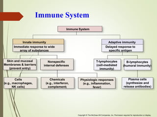 Immune System
Copyright © The McGraw-Hill Companies, Inc. Permission required for reproduction or display.
Immune System
Adaptive immunity
Delayed response to
specific antigen
B-lymphocytes
(humoral immunity)
T-lymphocytes
(cell-mediated
immunity)
Plasma cells
(synthesize and
release antibodies)
Physiologic responses
(e.g., inflammation,
fever)
Chemicals
(e.g., interferon,
complement)
Cells
(e.g., macrophages,
NK cells)
Skin and mucosal
Membranes & barriers
(prevent entry)
Immediate response to wide
array of substances
Innate immunity
Nonspecific
internal defenses
 