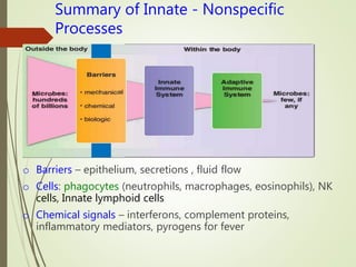 o Barriers – epithelium, secretions , fluid flow
o Cells: phagocytes (neutrophils, macrophages, eosinophils), NK
cells, Innate lymphoid cells
o Chemical signals – interferons, complement proteins,
inflammatory mediators, pyrogens for fever
Summary of Innate - Nonspecific
Processes
 