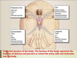 Protective barriers of the body. The barriers of the body represent the
first line of defense and prevent or retard the entry cells and molecules
into the body
 