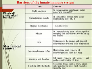 Barriers of the innate immune system
Types Function
Physical/
anatomical
barriers
Tight junctions In the epidermal skin layer: water-
proof and blocks UV
Subcutaneous glands
In the dermis: contain fatty acids
maintaining a pH of 3-5
Mucous membranes Traps microbes
Mechanical
removal
Mucus
In the respiratory tract: microorganism
trapping and attachment prevention by
the mucus
Cilia Cilia propels the mucus and trapped
microbes towards the sites of removal
Cough and sneeze reflex Respiratory tract: removal of
microorganisms from the body
Vomiting and diarrhea GI tract: removal of toxins and
pathogens from the GI tract
Flushing of body fluids
Systemic: fluids such as tears, urine,
saliva and sweat also flush microbes
from the body
 