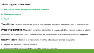 3 basic stages of inflammation :
1. Vasodilation and increase permeability of blood vessels
2. Phagocytic migration
3. Repair
Vasodilation : defensive materials are delivered from the blood ( Antibodies , phagocytes , clot – forming chemicals )
Phagocytic migration : Margination or migration is the sticking of phagocytes to blood vessels in response to cytokines
at the site of the inflammation , WBC ‘s squeeze between the endothelial cells into tissues from the blood via diapedesis
Repair of tissues : it cannot be completed until all harmful substances are removed or neutralized
• Stroma is the connecting tissue that is repaired
• Parenchyma is the functioning part of the tissue that is repaired (epidermis)
 