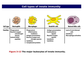 Types Of Innate Immunity innate immunity,types of innate immunity | PPT