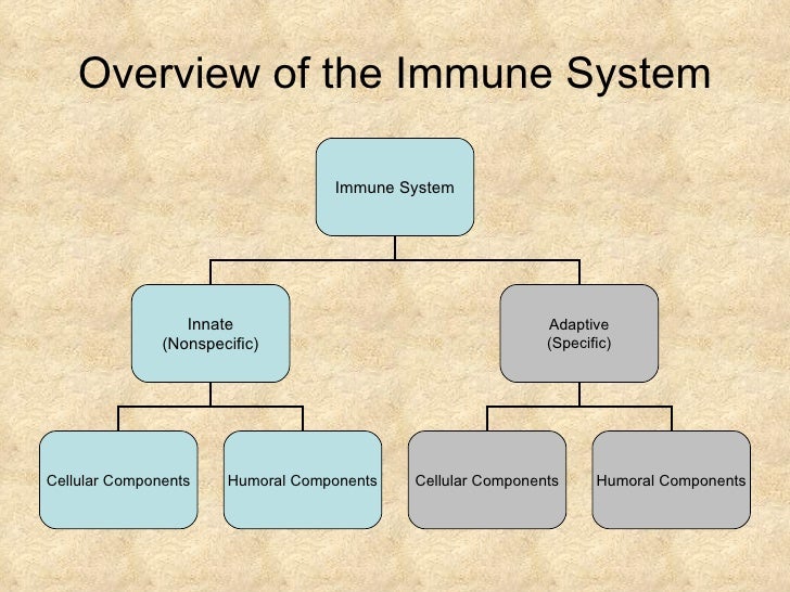 Innate Immunity06