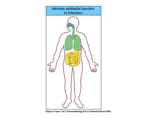 Figure 2-4 part 1 of 2
 