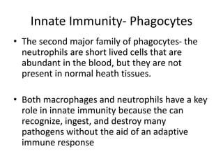 Innate Immunity- Phagocytes
• The second major family of phagocytes- the
neutrophils are short lived cells that are
abundant in the blood, but they are not
present in normal heath tissues.
• Both macrophages and neutrophils have a key
role in innate immunity because the can
recognize, ingest, and destroy many
pathogens without the aid of an adaptive
immune response
 