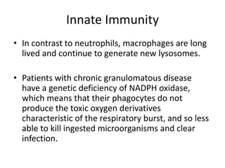 Innate Immunity
• In contrast to neutrophils, macrophages are long
lived and continue to generate new lysosomes.
• Patients with chronic granulomatous disease
have a genetic deficiency of NADPH oxidase,
which means that their phagocytes do not
produce the toxic oxygen derivatives
characteristic of the respiratory burst, and so less
able to kill ingested microorganisms and clear
infection.
 