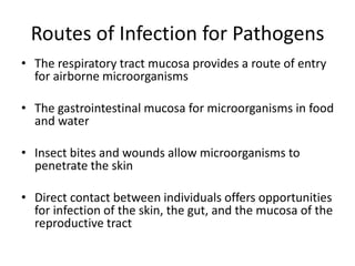 Routes of Infection for Pathogens
• The respiratory tract mucosa provides a route of entry
for airborne microorganisms
• The gastrointestinal mucosa for microorganisms in food
and water
• Insect bites and wounds allow microorganisms to
penetrate the skin
• Direct contact between individuals offers opportunities
for infection of the skin, the gut, and the mucosa of the
reproductive tract
 