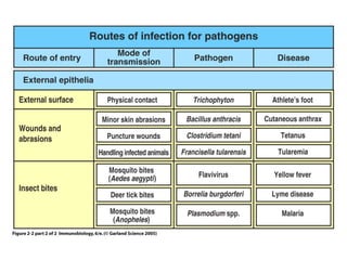 Figure 2-2 part 2 of 2
 