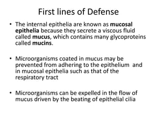First lines of Defense
• The internal epithelia are known as mucosal
epithelia because they secrete a viscous fluid
called mucus, which contains many glycoproteins
called mucins.
• Microorganisms coated in mucus may be
prevented from adhering to the epithelium and
in mucosal epithelia such as that of the
respiratory tract
• Microorganisms can be expelled in the flow of
mucus driven by the beating of epithelial cilia
 