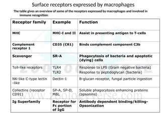 Innate Examples Innate Immunity and Host Defense Mechanisms by zoologyverse | PPT