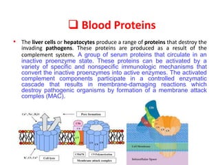 Blood Proteins
• The liver cells or hepatocytes produce a range of proteins that destroy the
invading pathogens. These proteins are produced as a result of the
complement system. A group of serum proteins that circulate in an
inactive proenzyme state. These proteins can be activated by a
variety of specific and nonspecific immunologic mechanisms that
convert the inactive proenzymes into active enzymes. The activated
complement components participate in a controlled enzymatic
cascade that results in membrane-damaging reactions which
destroy pathogenic organisms by formation of a membrane attack
comples (MAC).
 