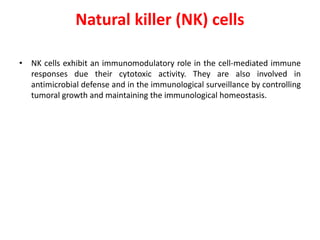 Natural killer (NK) cells
• NK cells exhibit an immunomodulatory role in the cell-mediated immune
responses due their cytotoxic activity. They are also involved in
antimicrobial defense and in the immunological surveillance by controlling
tumoral growth and maintaining the immunological homeostasis.
 