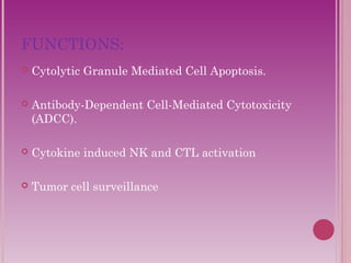 FUNCTIONS: 
 Cytolytic Granule Mediated Cell Apoptosis. 
 Antibody-Dependent Cell-Mediated Cytotoxicity 
(ADCC). 
 Cytokine induced NK and CTL activation 
 Tumor cell surveillance 
 