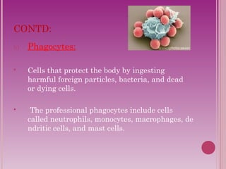 CONTD: 
b) Phagocytes: 
 Cells that protect the body by ingesting 
harmful foreign particles, bacteria, and dead 
or dying cells. 
 The professional phagocytes include cells 
called neutrophils, monocytes, macrophages, de 
ndritic cells, and mast cells. 
 