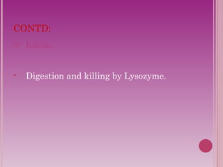 CONTD: 
III. Killing : 
 Digestion and killing by Lysozyme. 
 