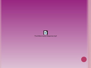 The Inflammatory Response.mp4 
 