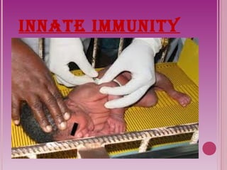 Innate ImmunIty 
 