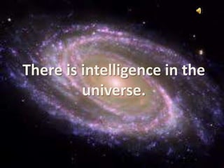 There is intelligence in the universe. 