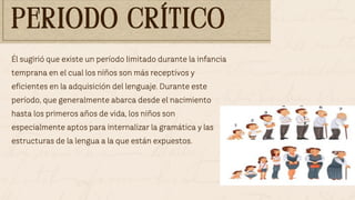 Él sugirió que existe un período limitado durante la infancia
temprana en el cual los niños son más receptivos y
eficientes en la adquisición del lenguaje. Durante este
período, que generalmente abarca desde el nacimiento
hasta los primeros años de vida, los niños son
especialmente aptos para internalizar la gramática y las
estructuras de la lengua a la que están expuestos.
PERIODO CRÍTICO
PERIODO CRÍTICO
 