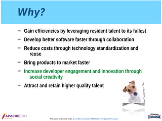 InnerSource: Enterprise Lessons from Open Source