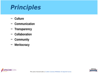 InnerSource: Enterprise Lessons from Open Source