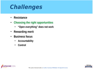 InnerSource: Enterprise Lessons from Open Source