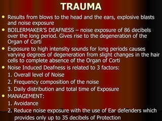 Inner ear | PPT