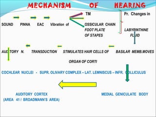 INNER EAR - DR NITIN ANIYAN THOMAS (NATS) | PPT