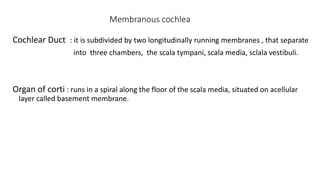 Membranous cochlea
Cochlear Duct : it is subdivided by two longitudinally running membranes , that separate
into three chambers, the scala tympani, scala media, sclala vestibuli.
Organ of corti : runs in a spiral along the floor of the scala media, situated on acellular
layer called basement membrane.
 