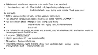 • 2) Reissner’s membrane: separate scala media from scala vestibuli.
• has two layers of cell : Mesothelial cell , layer facing scala tympani
• Endothelial cell, layer facing scala media. Thick layer cover
by microvilli.
• 3) Stria vascularis : lateral wall, contain vascular epithelium.
• Has a layer of fibrocytes and connective tissue called “SPIRAL LIGAMENT”
• Has three layers of cell : Marginal cells: facing scala media
• Intermediate cells: highly convuluted membrane
• Basal cell
• The cell contain ion pumps, enzymes and proteins, asso with homeostatic mechanism maintain
the composition of fluid of cochlea.
• It secretes “ ENDOLYMPH”
• High in potassium (K) , Low in sodium (Na)
• Absorption : Endolymphatic sac
• THE LONGITUDINAL FLOW THEORY : flow from cochlear duct - saccule - utricle –
endolymphatic duct - endolymphatic sac.
•
 
