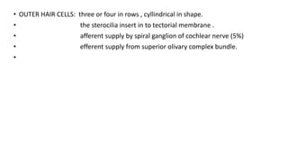 • OUTER HAIR CELLS: three or four in rows , cyllindrical in shape.
• the sterocilia insert in to tectorial membrane .
• afferent supply by spiral ganglion of cochlear nerve (5%)
• efferent supply from superior olivary complex bundle.
•
 