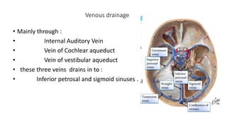 Venous drainage
• Mainly through :
• Internal Auditory Vein
• Vein of Cochlear aqueduct
• Vein of vestibular aqueduct
• these three veins drains in to :
• Inferior petrosal and sigmoid sinuses .
 