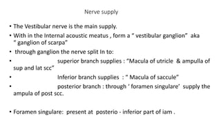 Nerve supply
• The Vestibular nerve is the main supply.
• With in the Internal acoustic meatus , form a “ vestibular ganglion” aka
“ ganglion of scarpa”
• through ganglion the nerve split In to:
• superior branch supplies : “Macula of utricle & ampulla of
sup and lat scc”
• Inferior branch supplies : “ Macula of saccule”
• posterior branch : through ‘ foramen singulare’ supply the
ampula of post scc.
• Foramen singulare: present at posterio - inferior part of iam .
 