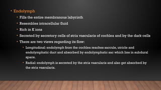 Comprehensive Anatomy and Development of the Inner Ear (Labyrinth) | PPTX