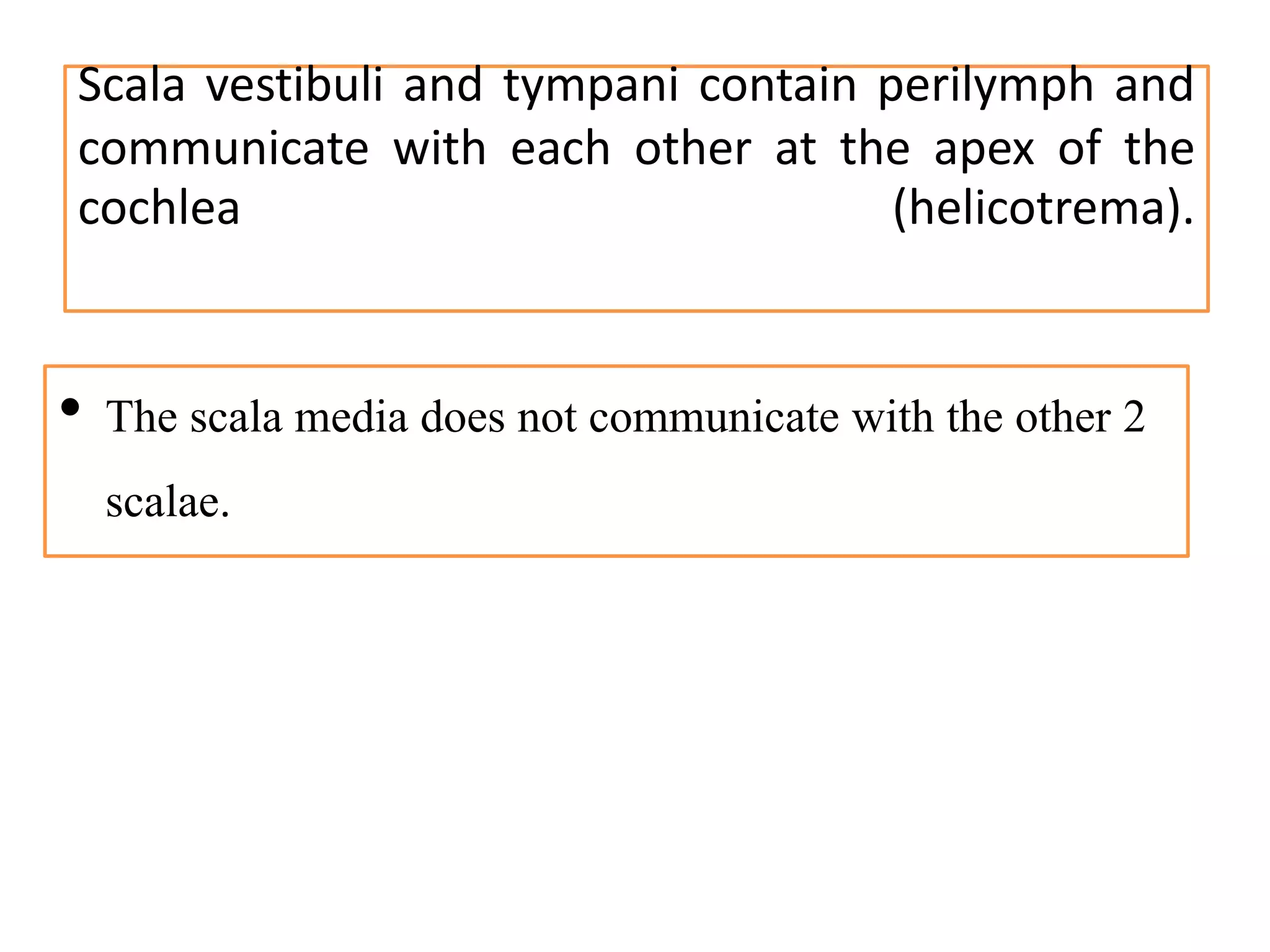 Scala vestibuli and tympani contain perilymph and
communicate with each other at the apex of the
cochlea (helicotrema).
• The scala media does not communicate with the other 2
scalae.
 