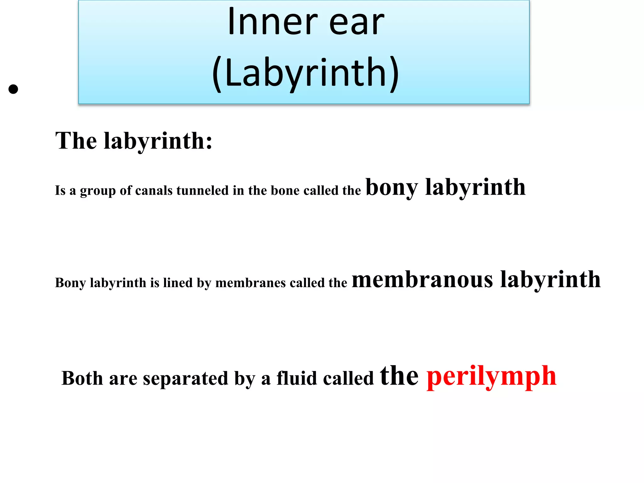 •
The labyrinth:
Is a group of canals tunneled in the bone called the bony labyrinth
Bony labyrinth is lined by membranes called the membranous labyrinth
Both are separated by a fluid called the perilymph
Inner ear
(Labyrinth)
 
