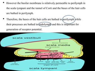 Periymph Inner ear 1 | PPTX