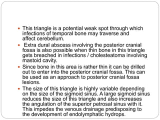 Inner ear 2.pdf