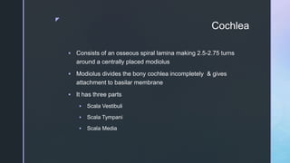z
Cochlea
 Consists of an osseous spiral lamina making 2.5-2.75 turns
around a centrally placed modiolus
 Modiolus divides the bony cochlea incompletely & gives
attachment to basilar membrane
 It has three parts
 Scala Vestibuli
 Scala Tympani
 Scala Media
 