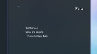 z
Parts
 Cochlear duct
 Utricle and Saccule
 Three semicircular ducts
 