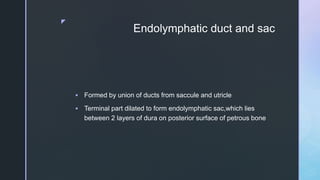 z
Endolymphatic duct and sac
 Formed by union of ducts from saccule and utricle
 Terminal part dilated to form endolymphatic sac,which lies
between 2 layers of dura on posterior surface of petrous bone
 