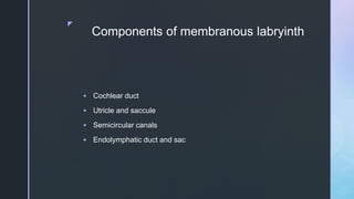z
Components of membranous labryinth
 Cochlear duct
 Utricle and saccule
 Semicircular canals
 Endolymphatic duct and sac
 