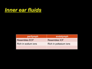 Inner ear anatomy.pdf