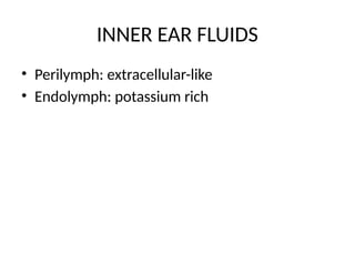 inner_ear_anatomy_dhingra (2).pptxanatomy | PPTX