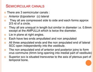 SEMICIRCULAR CANALS
 There are 3 semicircular canals :
(a) Anterior (b)posterior (c) lateral
 They all are compressed side to side and each forms approx
2/3 rd of a circle.
 They all are unequal in length but similar in diameter i.e. 0.8mm
except at the AMPULLA which is twice the diameter.
 Lie in plane at right angles.
 Each have two ends ampullated and non ampulated
 All three ampulated ends and the non ampulated end of lateral
SCC open independently into the vestibule.
 The non ampulated end of anterior and posterior joins to form
crus commune (4mm long opening into medial part of vestibule)
 Superior scc is situated transverse to the axis of pterous part of
temporal bone.
 